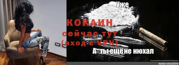 apvp Рославль