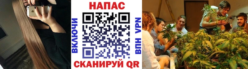 Марихуана Amnesia  дарнет шоп  Камызяк 